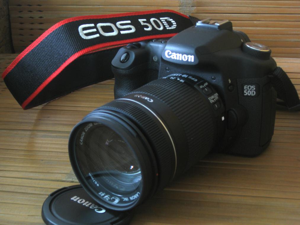 ����50D