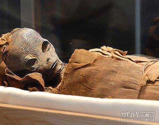 在埃及发现外星人木乃伊