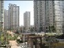 �ž��ֻ�԰���沣����ϴ