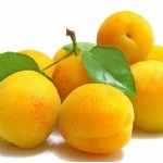 ���ϻƽ���